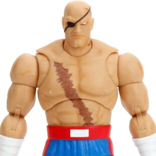ultra steet fighter ii sagat 6 inch action figure